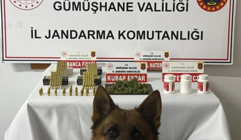 Gümüşhane’de Jandarmadan Esrar ve Mühimmat Operasyonu