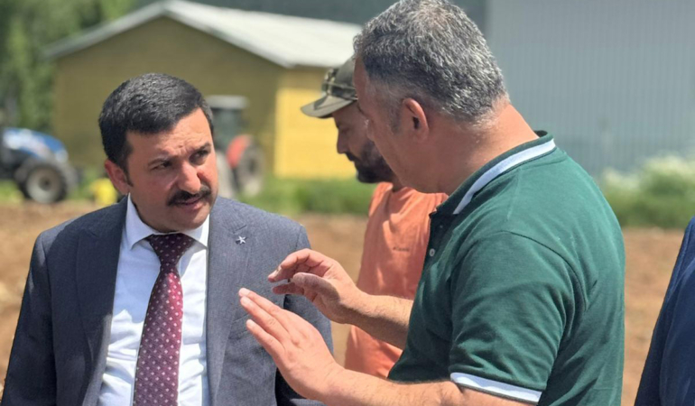 Kelkit’te Tarımsal Yenilik: Fil Otu Denemesi Başladı