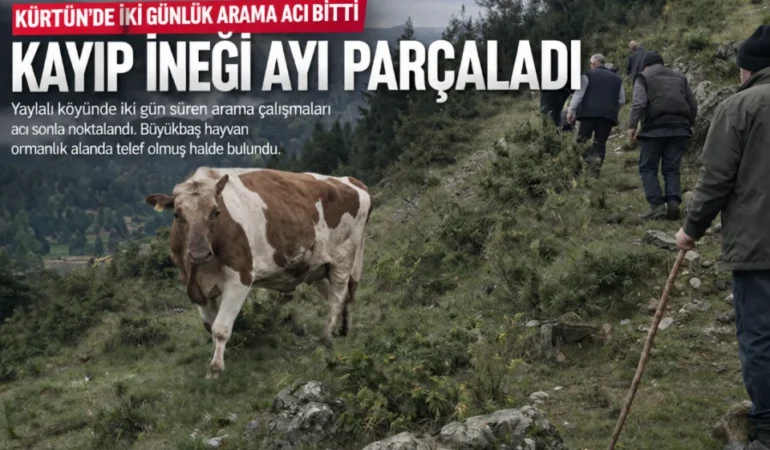 Kürtün’de İki Günlük Arama Bitti: Kayıp İneği Ayı Parçaladı