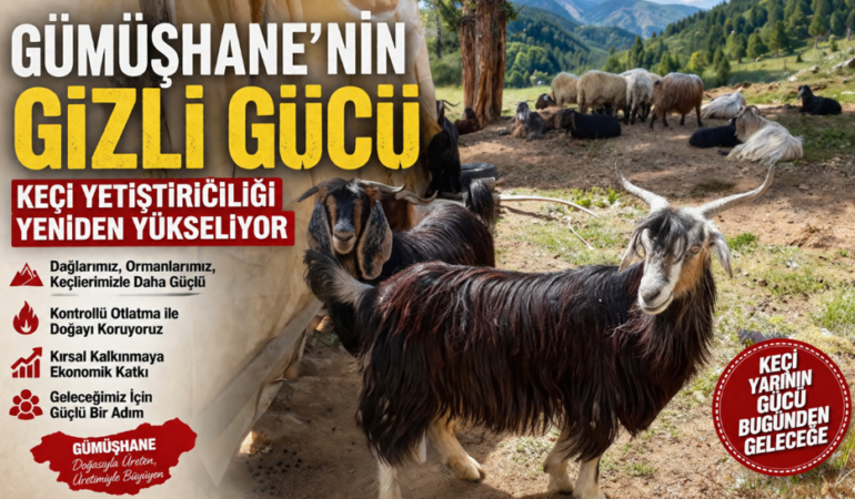 AB’den Keçi Yetiştiriciliğinde Tarihi Karar: Gümüşhane İçin Büyük Fırsat