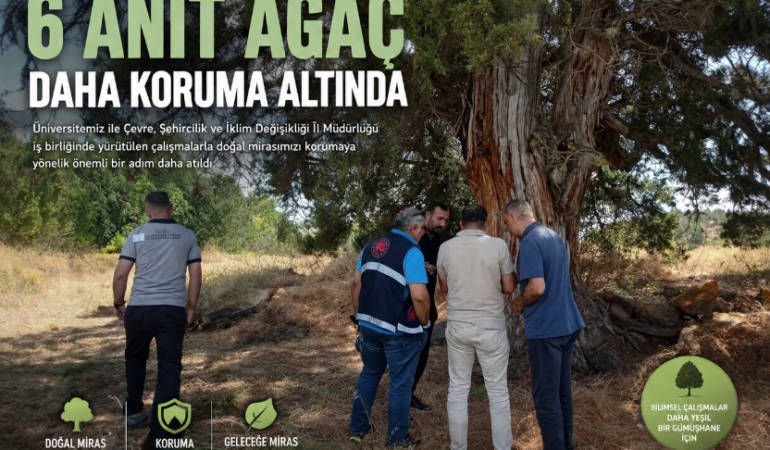 Gümüşhane’de 6 Anıt Ağaç Daha Koruma Altına Alınıyor