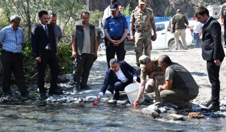 Vali Atay Torul’da Doğa ve Turizm İncelemelerinde Bulundu