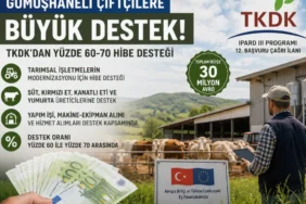 çç