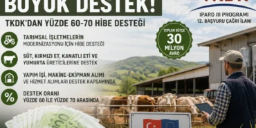 çç