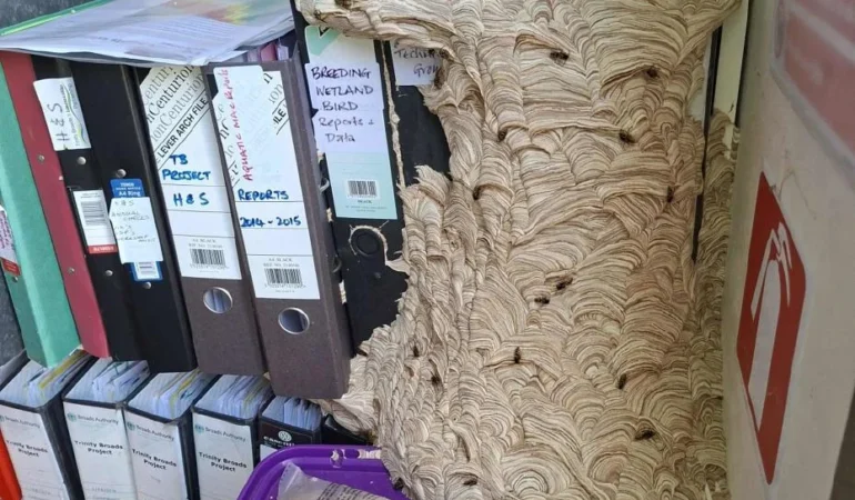 Ofisine döndü, gözlerine inanamadı. "Bundan hemen kurtulmam gerek"