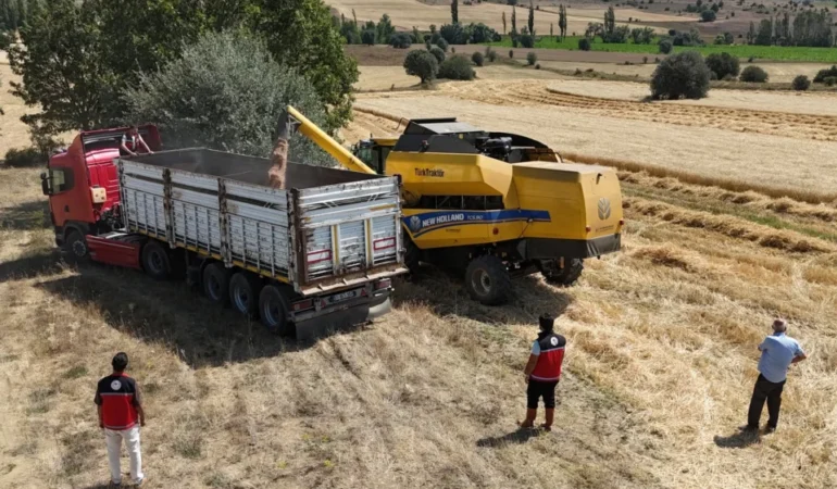 Gümüşhane’de Hububat Hasadı Başladı: Ekipler  Denetimde