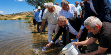 balık