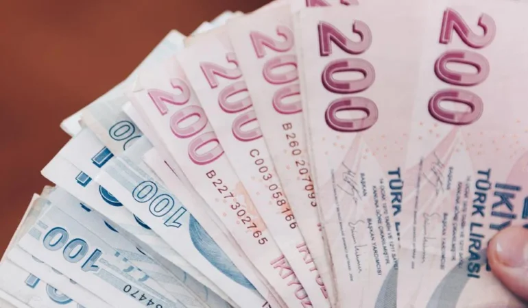Ağustos ayı Sosyal ve Ekonomik Destek ödemeleri hesaplara yatırıldı