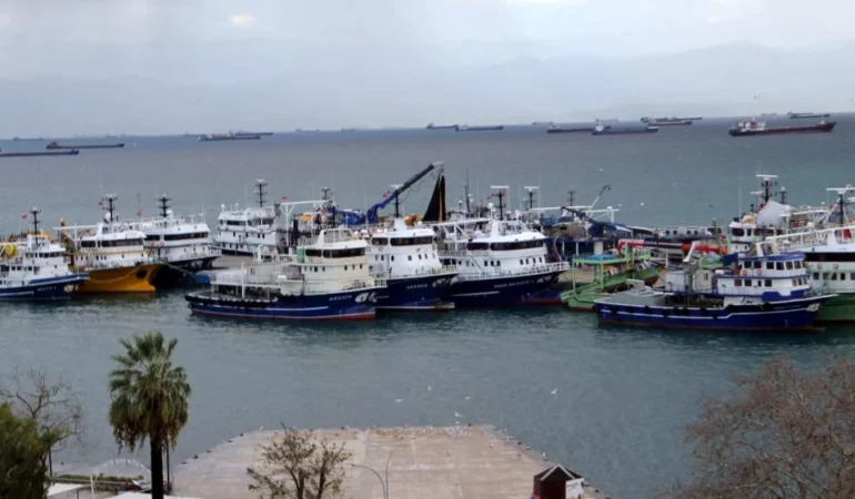 Balıkçılar yeni av sezonuna hazır