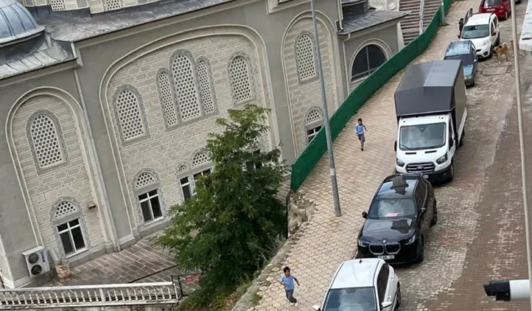 Kürtün’de Sokak Köpekleri Tepkisi: Metin Özkan’dan Sert Çağrı!